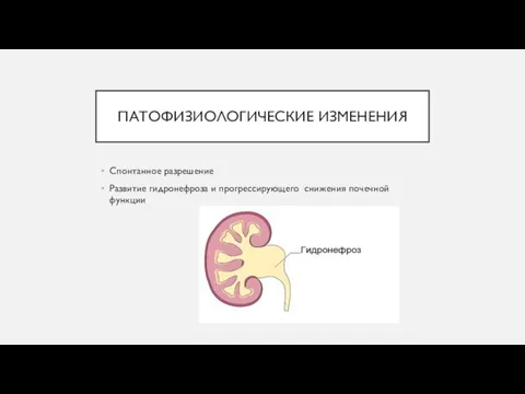 ПАТОФИЗИОЛОГИЧЕСКИЕ ИЗМЕНЕНИЯ Спонтанное разрешение Развитие гидронефроза и прогрессирующего снижения почечной функции