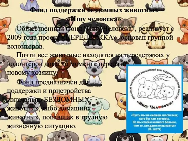 Фонд поддержки бездомных животных «Ищу человека» Фонд предназначен для поддержки и пристройства