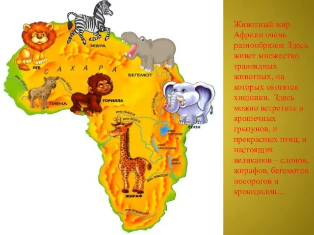 Животный мир Африки очень разнообразен. Здесь живет множество травоядных животных, на которых