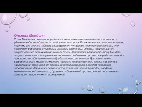 Опыты Менделя Успех Менделя во многом определялся не только его «научным генотипом»,