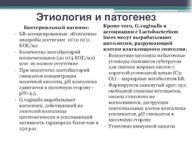 Этиология и патогенез Бактериальный вагиноз: БВ-ассоциированные облигатные анаэробы достигают 10'10 10'11 КОЕ/мл