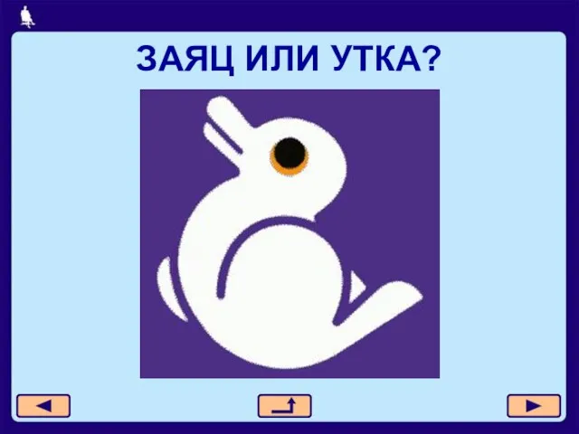 ЗАЯЦ ИЛИ УТКА?