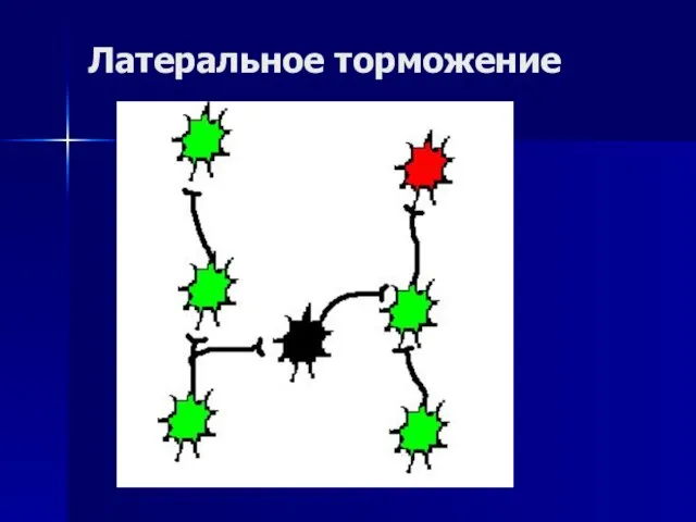 Латеральное торможение