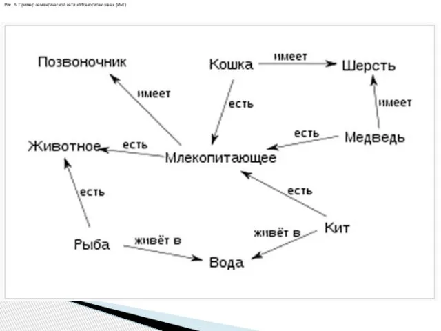 Рис. 6. Пример семантической сети «Млекопитающее» (Инт.) Рис. 6. Пример семантической сети «Млекопитающее» (Инт.)