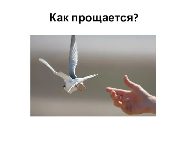 Как прощается?