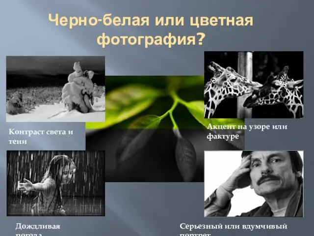 Черно-белая или цветная фотография? Контраст света и тени Акцент на узоре или