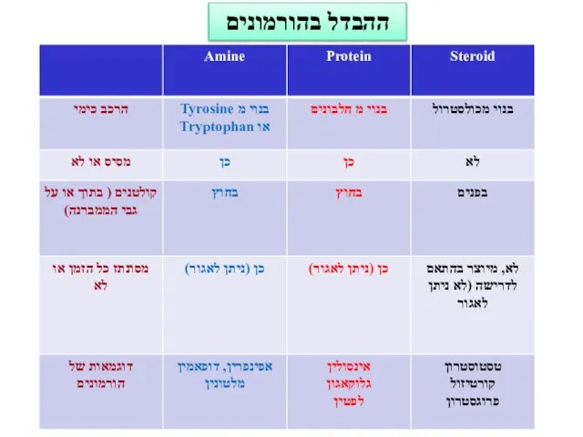 ההבדל בהורמונים