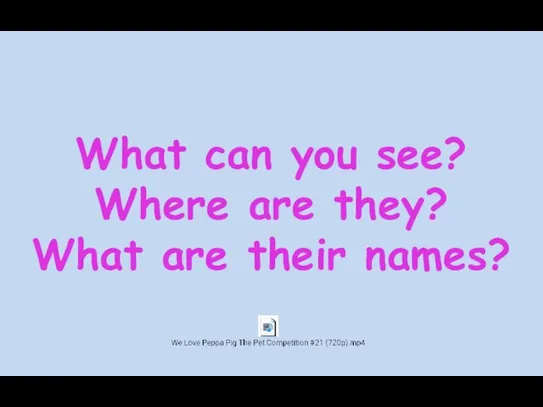 What can you see? Where are they? What are their names?
