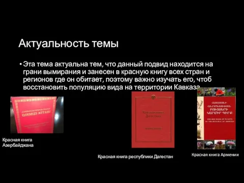 Актуальность темы Эта тема актуальна тем, что данный подвид находится на грани