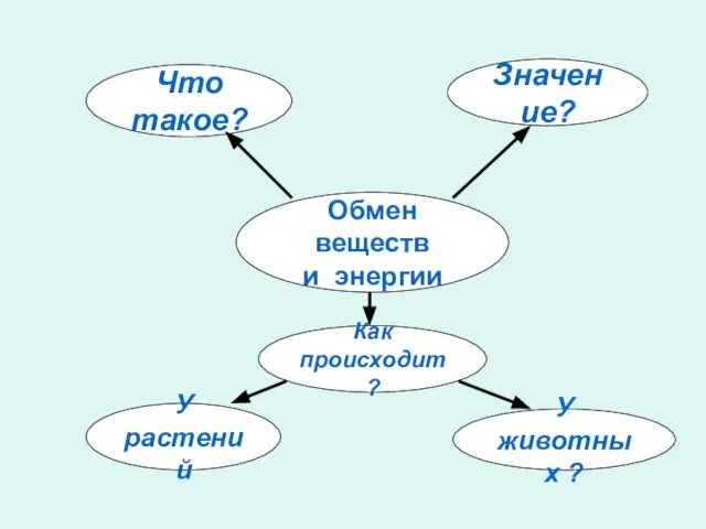 Обмен веществ и энергии Что такое? Значение? Как происходит ? У растений У животных ?