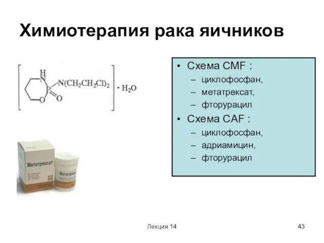 Лекция 14 Химиотерапия рака яичников Схема СМF : циклофосфан, метатрексат, фторурацил Схема