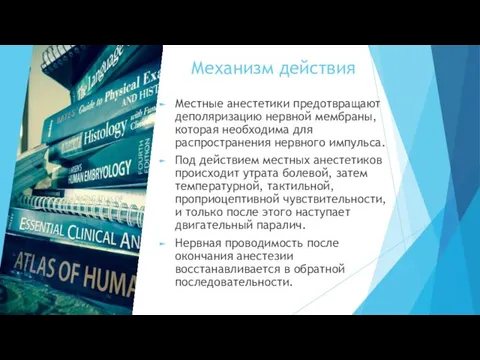 Механизм действия Местные анестетики предотвращают деполяризацию нервной мембраны, которая необходима для распространения