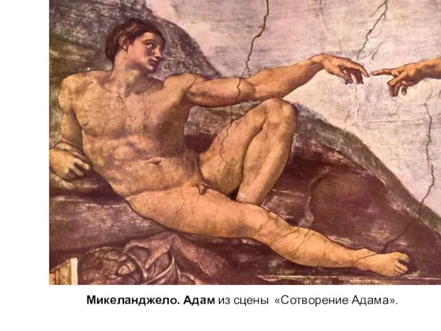 Микеланджело. Адам из сцены «Сотворение Адама».