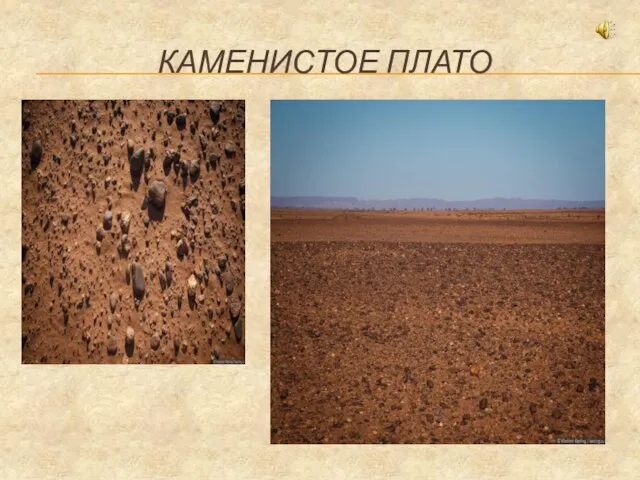 КАМЕНИСТОЕ ПЛАТО