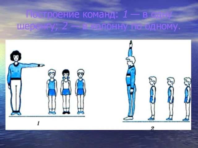 Построение команд: 1 — в одну шеренгу; 2 — в колонну по одному.