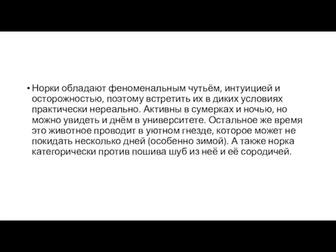 Норки обладают феноменальным чутьём, интуицией и осторожностью, поэтому встретить их в диких