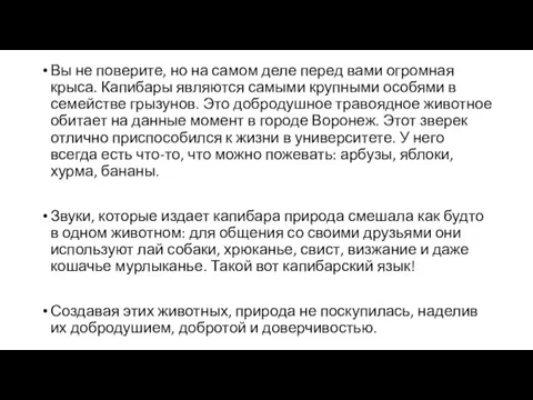 Вы не поверите, но на самом деле перед вами огромная крыса. Капибары