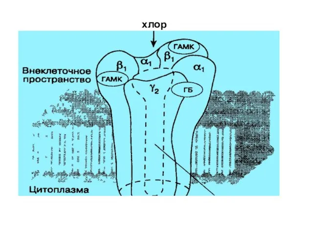 хлор