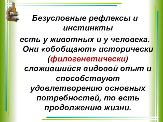 Безусловные рефлексы и инстинкты есть у животных и у человека. Они «обобщают»