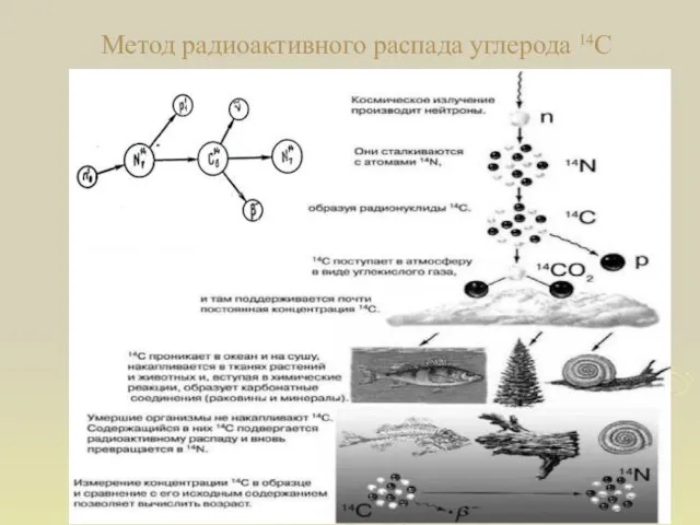 Метод радиоактивного распада углерода 14C