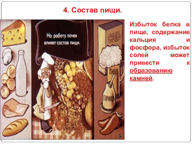 4. Состав пищи. Избыток белка в пище, содержание кальция и фосфора, избыток