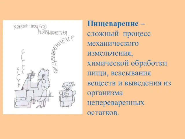 Пищеварение – сложный процесс механического измельчения, химической обработки пищи, всасывания веществ и