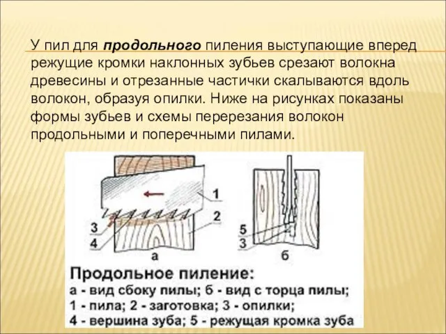 У пил для продольного пиления выступающие вперед режущие кромки наклонных зубьев срезают