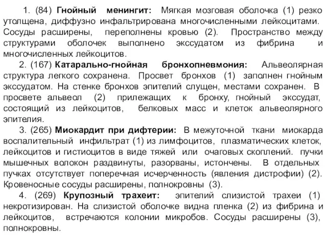 1. (84) Гнойный менингит: Мягкая мозговая оболочка (1) резко утолщена, диффузно инфальтрирована