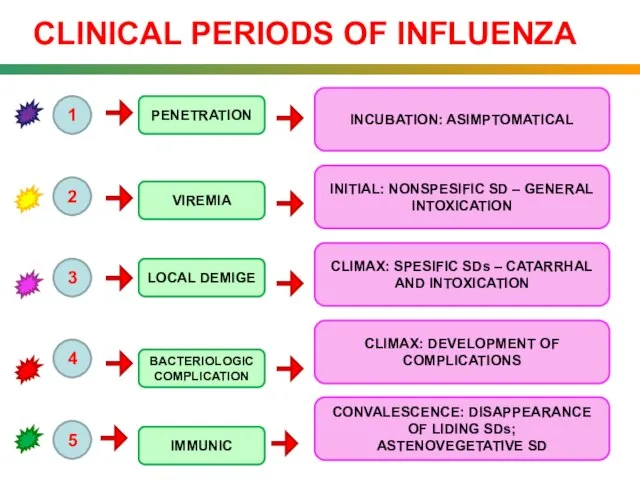 CLINICAL PERIODS OF INFLUENZA 1 2 3 4 5 PENETRATION VIREMIA LOCAL