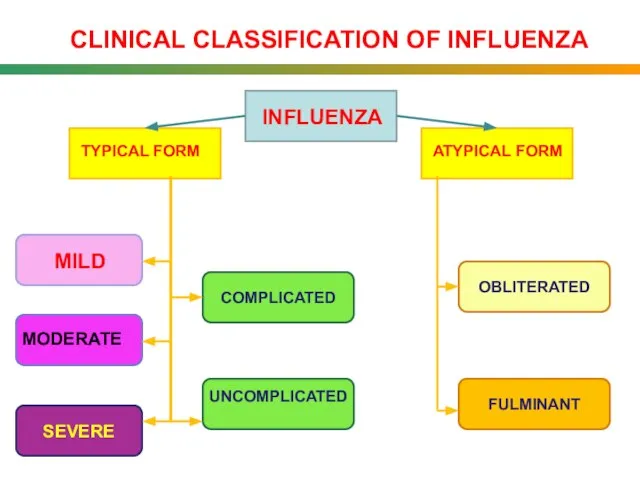 CLINICAL CLASSIFICATION OF INFLUENZA OBLITERATED FULMINANT SEVERE COMPLICATED INFLUENZA TYPICAL FORM ATYPICAL FORM MILD MODERATE UNCOMPLICATED