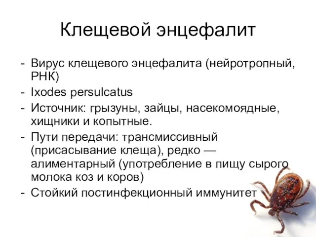 Клещевой энцефалит Вирус клещевого энцефалита (нейротропный, РНК) Ixodes persulcatus Источник: грызуны, зайцы,