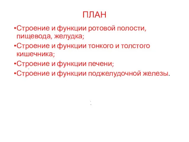 ПЛАН Строение и функции ротовой полости, пищевода, желудка; Строение и функции тонкого