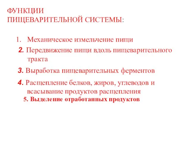 5. Выделение отработанных продуктов 2. Передвижение пищи вдоль пищеварительного тракта Механическое измельчение