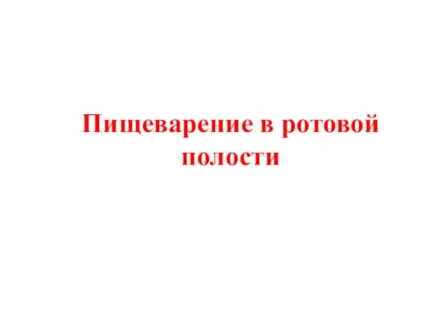 Пищеварение в ротовой полости