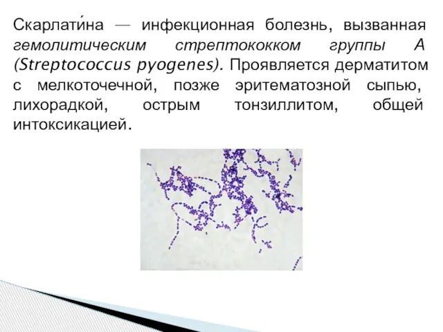 Скарлати́на — инфекционная болезнь, вызванная гемолитическим стрептококком группы А (Streptococcus pyogenes). Проявляется