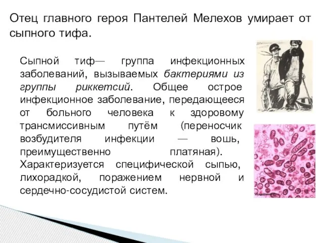 Отец главного героя Пантелей Мелехов умирает от сыпного тифа. Сыпной тиф— группа