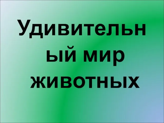 Удивительный мир животных