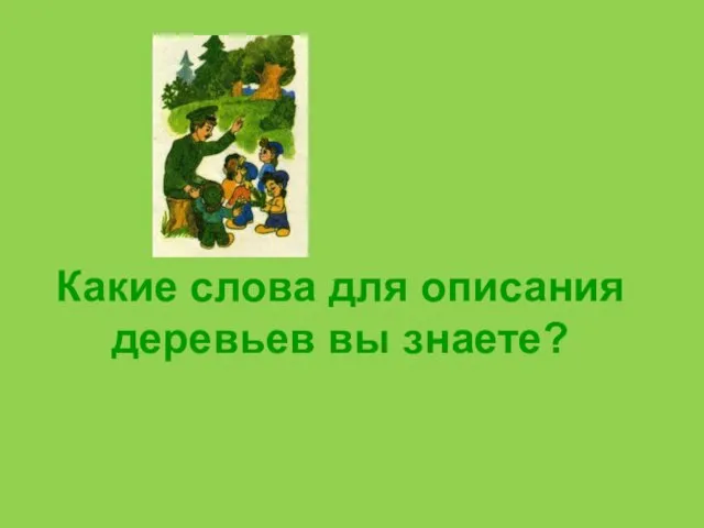 Какие слова для описания деревьев вы знаете?