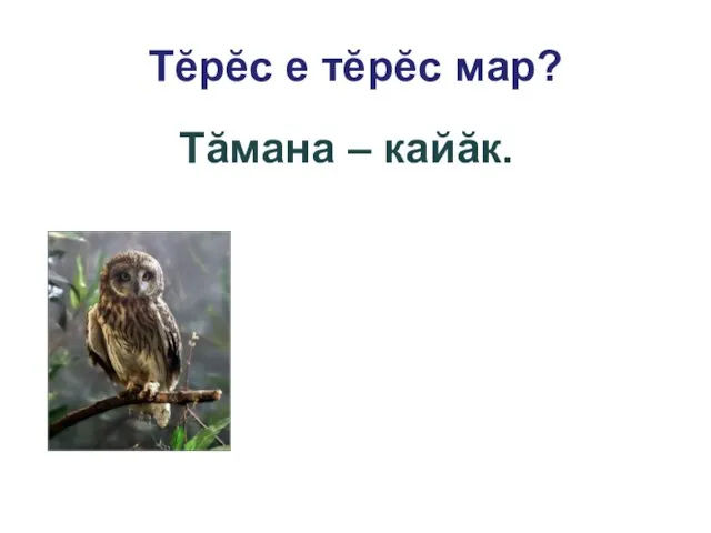 Тĕрĕс е тĕрĕс мар? Тăмана – йывăç. Тăмана – кайăк.