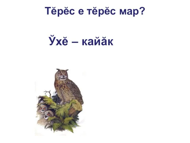 Тĕрĕс е тĕрĕс мар? Ўхĕ – кайăк мар.