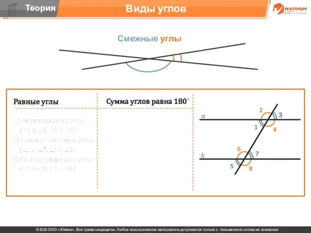 . Виды углов Смежные углы Равные углы Сумма углов равна 180˚