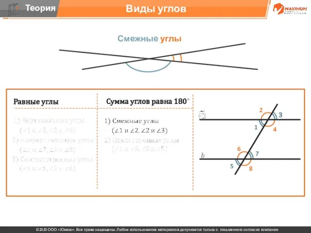 . Виды углов Смежные углы Равные углы Сумма углов равна 180˚