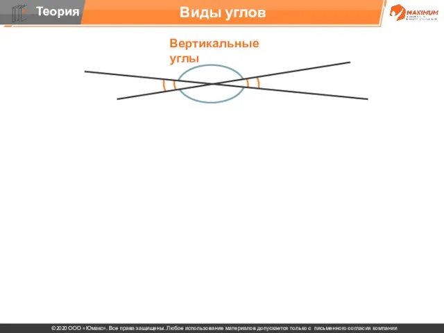 . Виды углов Вертикальные углы