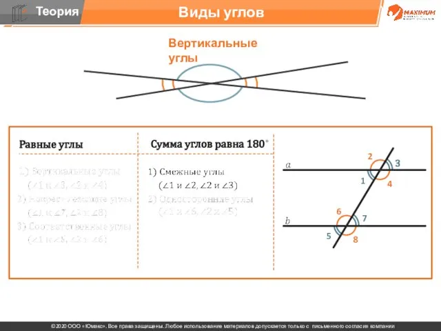 . Виды углов Вертикальные углы Равные углы Сумма углов равна 180˚