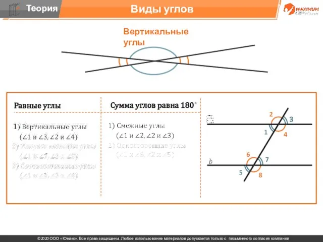 . Виды углов Вертикальные углы Равные углы Сумма углов равна 180˚