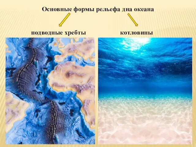 Основные формы рельефа дна океана подводные хребты котловины
