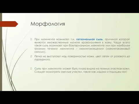 Морфология При менингите возникает т.н. петехиальная сыпь, причиной которой являются множественные мелкие