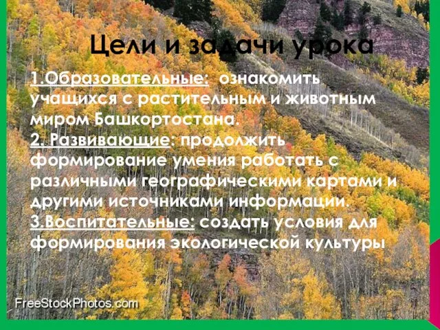 Цели и задачи урока 1.Образовательные: ознакомить учащихся с растительным и животным миром