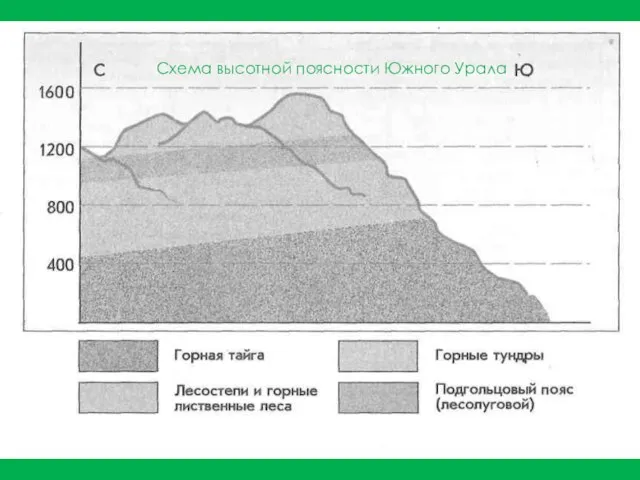 Схема высотной поясности Южного Урала
