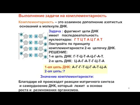 Выполнение задачи на комплементарность Комплементарность – это взаимное дополнение азотистых оснований в